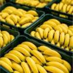 Imagem ilustrativa sobre bananicultura